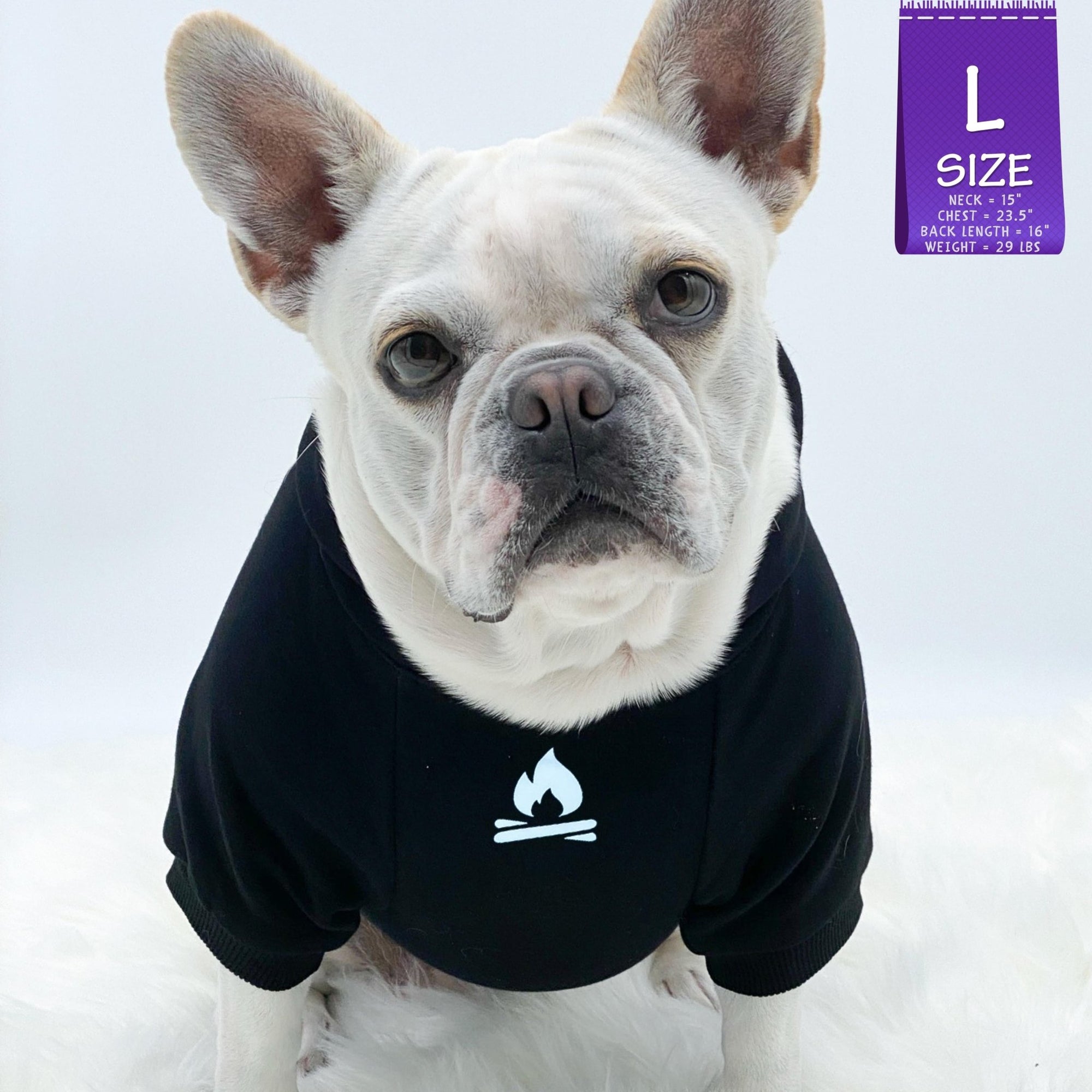 Dog Hoodie - Hoodies For Dogs - French Bulldog wearing &quot;Happy Camper&quot; dog hoodie in black - campfire emoji on front chest - against solid white background - Wag Trendz