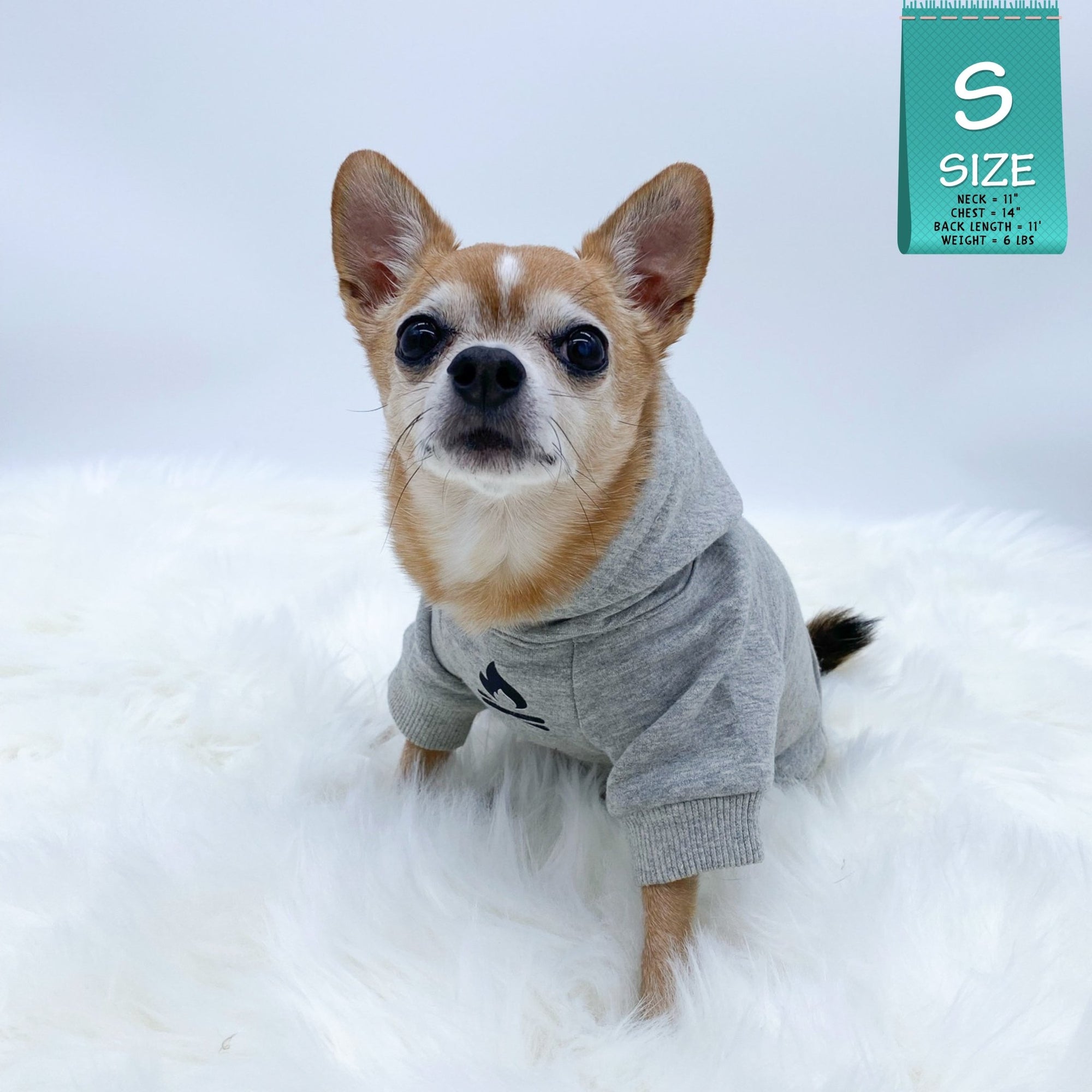 Dog Hoodie - Hoodies For Dogs - Chihuahua wearing &quot;Happy Camper&quot; dog hoodie in gray - campfire emoji on front chest - against solid white background - Wag Trendz