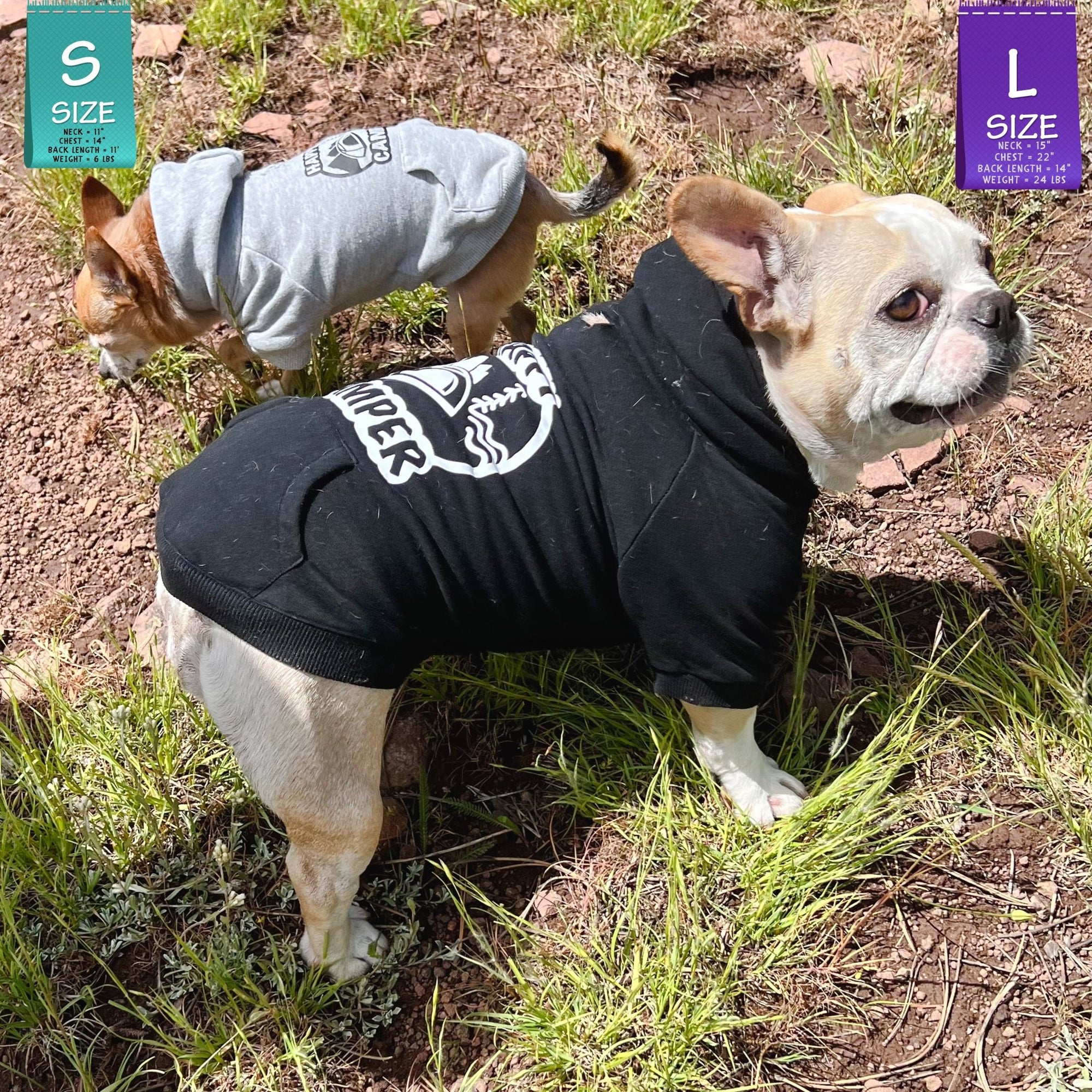 Dog Hoodie - Hoodies For Dogs - French Bulldog and Chihuahua wearing &quot;Happy Camper&quot; dog hoodie in black and gray respectively - with Happy Camper camping scene on the back - standing in a grassy field - Wag Trendz