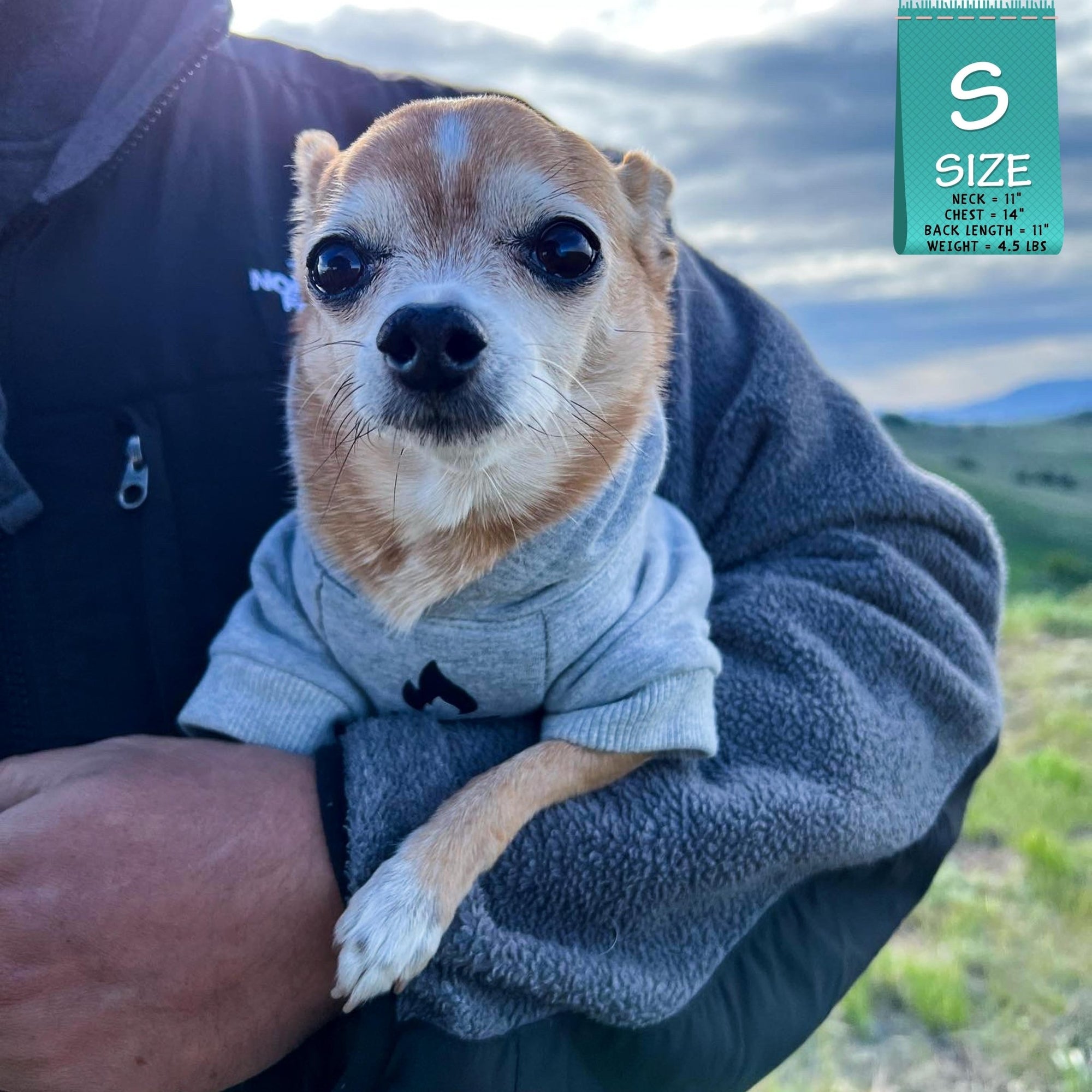 Dog Hoodie - Hoodies For Dogs - Chihuahua wearing &quot;Happy Camper&quot; dog hoodie in gray - campfire emoji on front chest - being held by a human outdoors - Wag Trendz