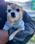 Dog Hoodie - Hoodies For Dogs - Chihuahua wearing "Happy Camper" dog hoodie in gray - campfire emoji on front chest - being held by a human outdoors - Wag Trendz