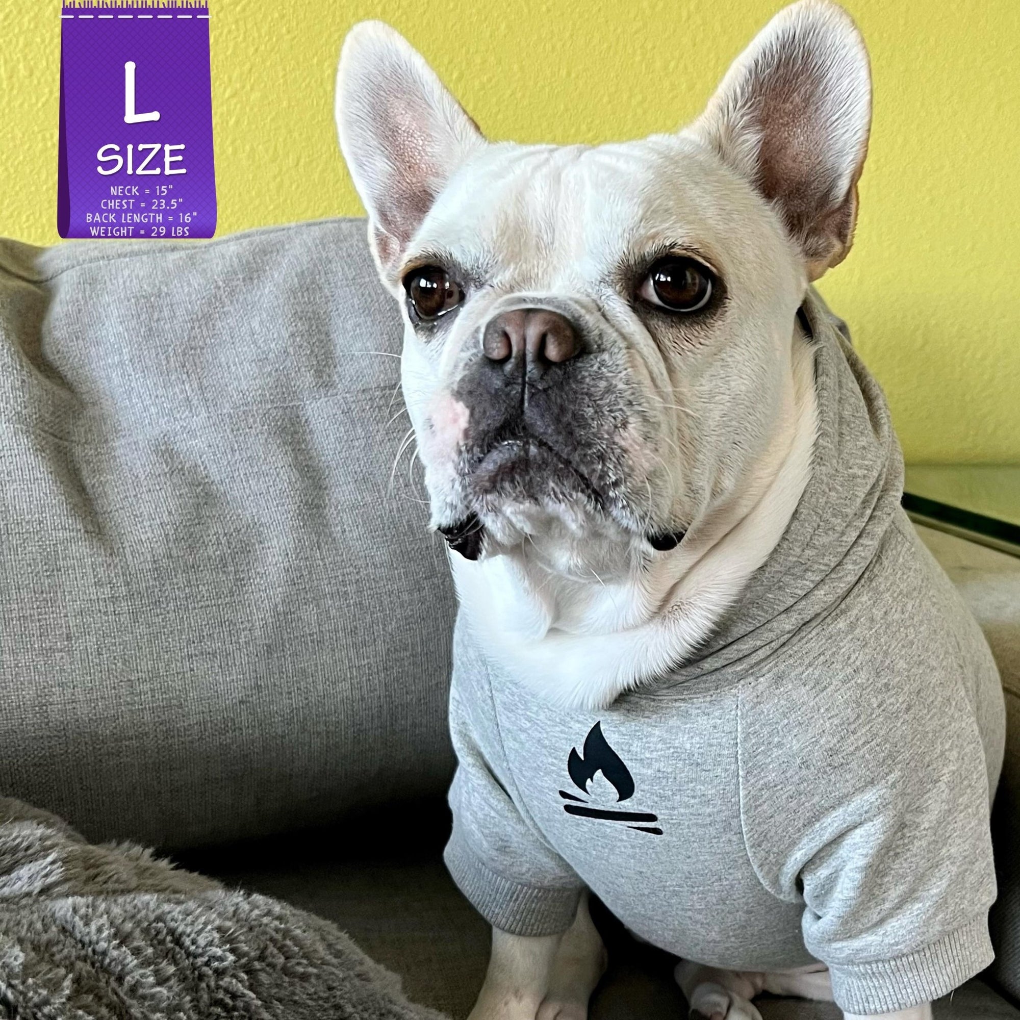 Dog Hoodie - Hoodies For Dogs - French Bulldog wearing &quot;Happy Camper&quot; dog hoodie in gray - campfire emoji on front chest - indoors sitting on a gray sofa - Wag Trendz