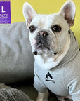Dog Hoodie - Hoodies For Dogs - French Bulldog wearing "Happy Camper" dog hoodie in gray - campfire emoji on front chest - indoors sitting on a gray sofa - Wag Trendz