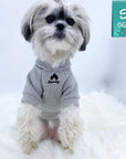 Dog Hoodie - Hoodies For Dogs - mix breed dog wearing "Happy Camper" dog hoodie in gray in a begging position - campfire emoji on front chest - against solid white background - Wag Trendz