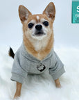 Dog Hoodie - Hoodies For Dogs - Chihuahua wearing "Lizard Hunter" dog hoodie in gray and black sets - front chest has two lizards emoji making a circle - against solid white background - Wag Trendz