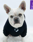 Dog Hoodie - Hoodies For Dogs - French Bulldog wearing "Lizard Hunter" dog hoodie in black - front chest has two lizards emoji making a circle - against solid white background - Wag Trendz