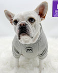 Dog Hoodie - Hoodies For Dogs - French Bulldog wearing "Road Trip" License Plate design in gray - Volkswagen Bus with paw print emoji on front chest - against solid white background - Wag Trendz