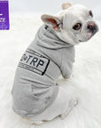 Dog Hoodie - Hoodies For Dogs - French Bulldog wearing "Road Trip" License Plate design in gray & black sets - back view against solid white background - Wag Trendz