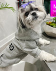 Dog Hoodie - Hoodies For Dogs - Shih Tzu wearing “SPOILED” dog hoodie in gray - side view with SPOILED in black lettering - indoors standing at the table - Wag Trendz