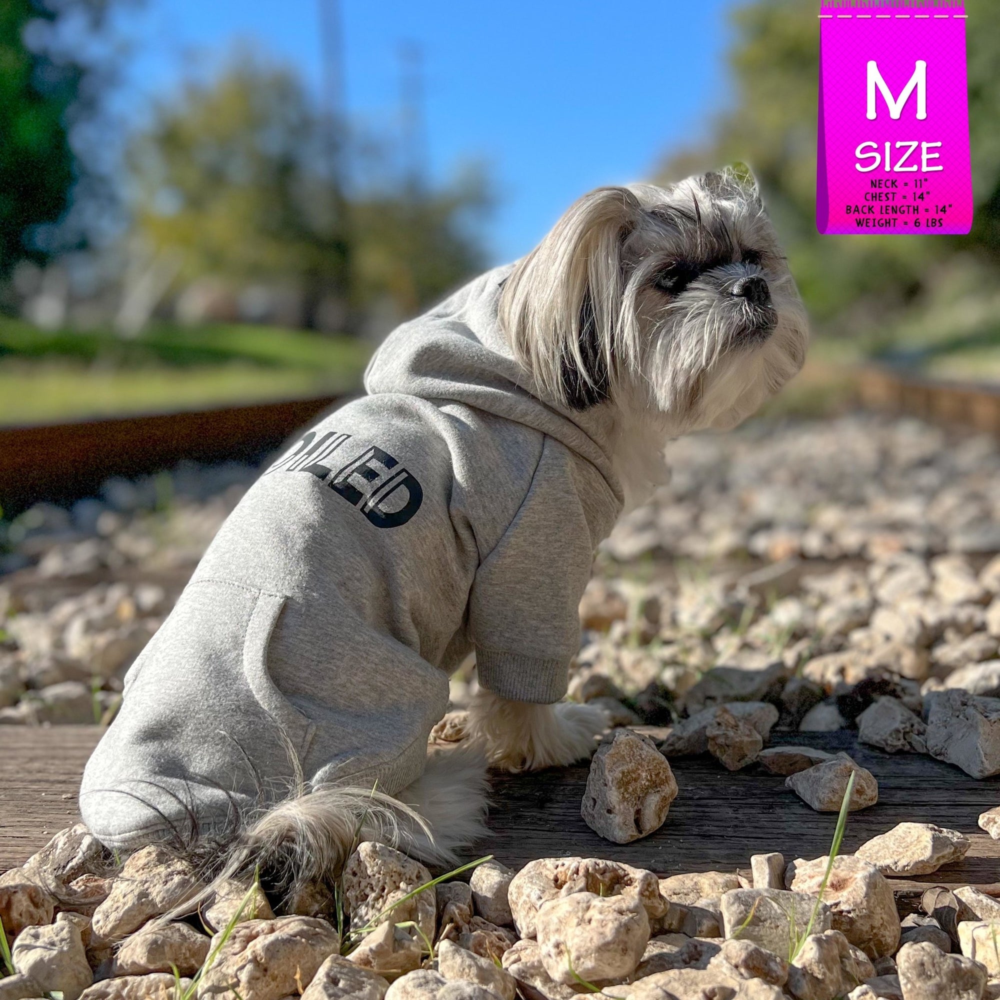 Dog Hoodie - Hoodies For Dogs - Small dog wearing “SPOILED” dog hoodie in gray - backside view with SPOILED in black lettering - outdoors on a railroad track - Wag Trendz