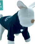Dog Hoodie - Hoodies For Dogs - Stuffed white dog wearing “SPOILED” dog hoodie in black - backside has SPOILED in white lettering front chest has a solid heart emoji - against a solid white background - Wag Trendz