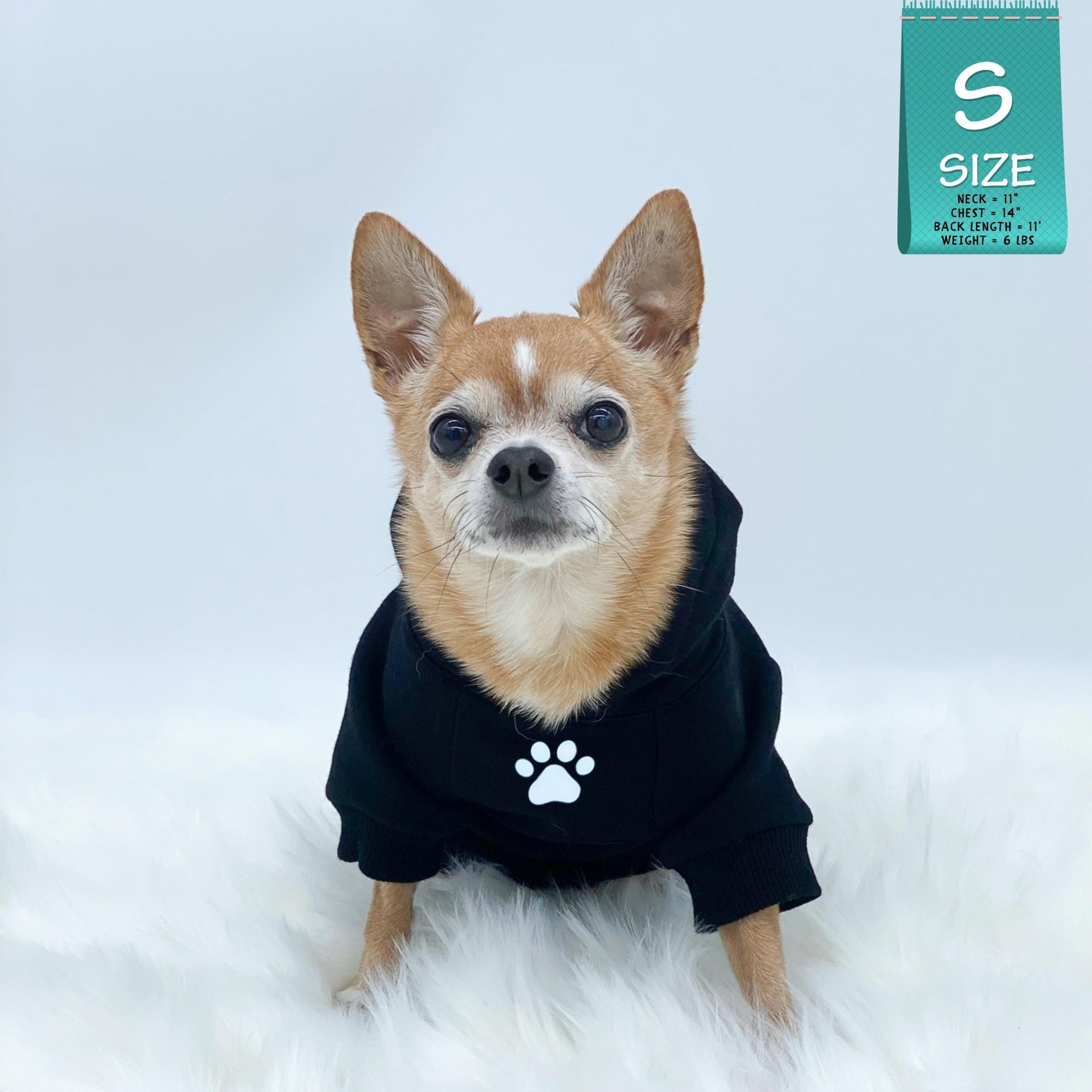 Dog Hoodie - Hoodies For Dogs - Chihuahua wearing &quot;Stay Pawsitive&quot; dog hoodie in black - front view with paw print - against solid white background - Wag Trendz