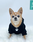 Dog Hoodie - Hoodies For Dogs - Chihuahua wearing "Stay Pawsitive" dog hoodie in black - front view with paw print - against solid white background - Wag Trendz