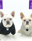 Dog Hoodie - Hoodies For Dogs - French Bulldogs wearing "Stay Pawsitive" dog hoodies in gray and black - front view with paw print - against solid white background - Wag Trendz