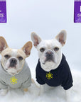 Dog hoodie - Hoodies For Dogs - French Bulldogs wearing "Sunny Days" dog hoodies in black and gray - front chest view has a modern yellow sunshine emoji - against solid white background - Wag Trendz