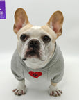 Dog hoodie - Hoodies For Dogs - French Bulldog wearing "eat lick play LOVE" graphic hoodie - front view - gray with red heart and black paw emoji on the chest - against a white background - Wag Trendz