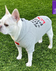 Dog hoodie - Hoodies For Dogs - French Bulldog wearing Valentine "eat lick play LOVE" dog hoodie - gray with red heart and black paw emoji on the front - standing outdoors in the grass - Wag Trendz