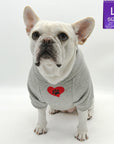 Dog hoodie - Hoodies For Dogs - French Bulldog wearing Valentine "eat lick play LOVE" graphic dog hoodie - front view gray with red heart black paw emoji on chest - against solid white background - Wag Trendz