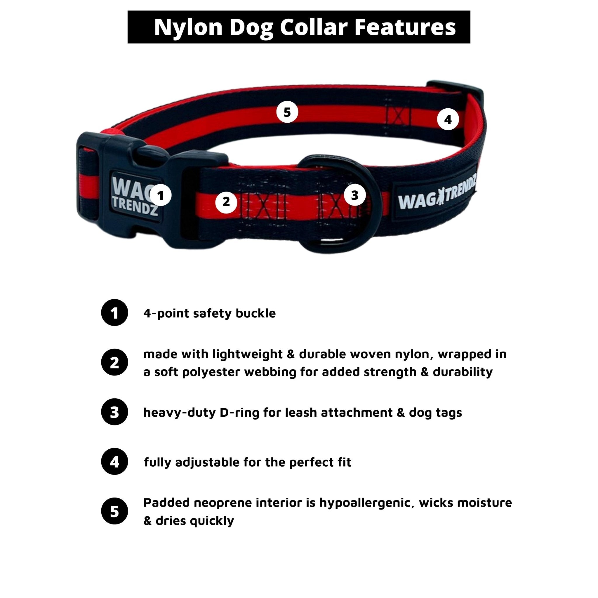 Pet Leash and Collar set