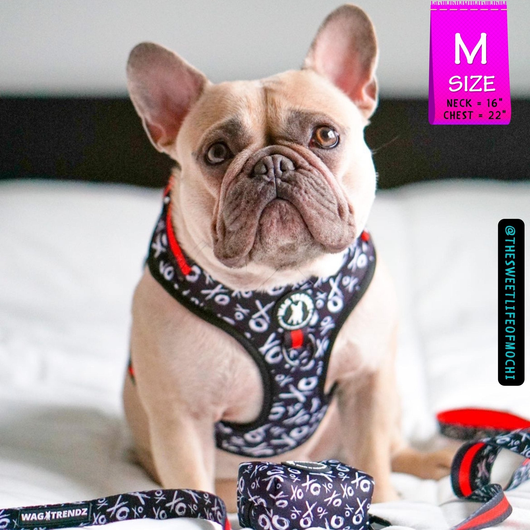 French Bulldog Backpack Harness Set