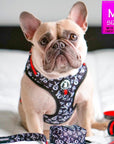 Dog Leash and Harness Set - French Bulldog wearing Medium Dog Harness Vest with black and white XO's with bold red accents - matching leash and poop bag holder - sitting indoors on a bed - Wag Trendz