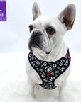 Dog Leash and Harness Set - French Bulldog wearing Large Dog Harness Vest in black and white XO's with bold red accents - against solid white background - Wag Trendz