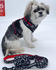 Dog Leash and Harness Set - Shih Tzu wearing XS Dog Harness Vest in  black and white XO's with bold red accents and matching dog leash and poop bag holder - against solid white background - Wag Trendz