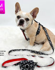 Nylon Dog Leash - French Bulldog wearing black and white XO harness with red accents and matching leash and poop bag carrier attached - against a solid white background - Wag Trendz