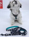 Nylon Dog Leash - French Bulldog wearing black with white paint splatter and teal accents harness with matching dog leash and poop bag holder attached - against solid white background - Wag Trendz