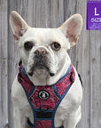 No Pull Dog Harness - with Handle - French Bulldog wearing Bandana Boujee No Pull Dog Harness in Hot Pink with Denim Accents - sitting outdoors with a gray fence in the background - Wag Trendz