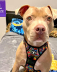 No Pull Dog Harness - with Handle - Pit Bull mix wearing multi colored Street Graffiti no pull dog harness - siting on a bed indoors - Wag Trendz