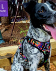 No Pull Dog Harness - with handle - black and white rescue dog wearing multi colored Street Graffiti no pull dog harness - siting outside - Wag Trendz