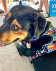 No Pull Dog Harness - with Handle - Coonhound wearing multi colored Street Graffiti no pull dog harness - sitting outdoors - Wag Trendz