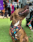 No Pull Dog Harness - with Handle - Black and brown rescue dog wearing multi colored Street Graffiti no pull dog harness - looking back outside in the grass - Wag Trendz