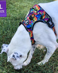 No Pull Dog Harness - with Handle - Pit Bull mix wearing the multi colored Street Graffiti no pull dog harness - sniffing the grass outside - Wag Trendz