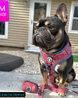 Dog Poo Bag Holder - French Bulldog wearing Bandana Boujee dog harness with matching leash and dog poo bag holder attached - Red with black zipper and black rubber logo dispenser on front - sitting outdoors with brown house in background - Wag Trendz