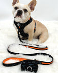 Dog Poo Bag Holder - French Bulldog wearing black and gray Camo Chic with orange accents and matching leash and poo bag holder attached - against solid white background - Wag Trendz