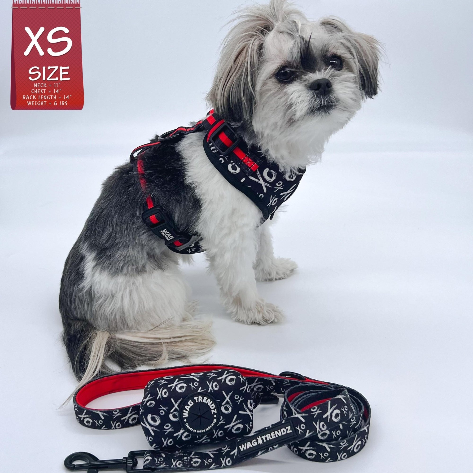 Dog Poo Bag Holder - Shih Tzu wearing black &amp; white XO pattern harness with matching leash and poo bag holder - Hugs &amp; Kisses XO- against white background -Wag Trendz