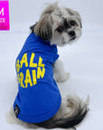 Dog T-Shirt - Shih Tzu mix wearing blue Ball Brain t-shirt with bright yellow Ball Brain - back view - against solid white background - Wag Trendz