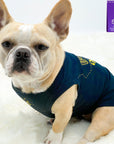 Dog T-Shirt - French Bulldog wearing "Bee Kind" Dog T-shirt - black t-shirt with swarming bee emoji on front and Bee Kind on back - against solid white background - Wag Trendz