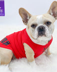 Dog T-Shirt - French Bulldog wearing "Bruh" dog t-shirt in Red - back view with BRUH spelled in black on red t-shirt with a smirk faced French Bulldog emoji on chest - against solid white background - Wag Trendz