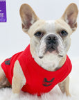 Dog T-Shirt - French Bulldog wearing "Bruh" dog t-shirt in Red - with a smirk faced French Bulldog emoji on chest - against solid white background - Wag Trendz