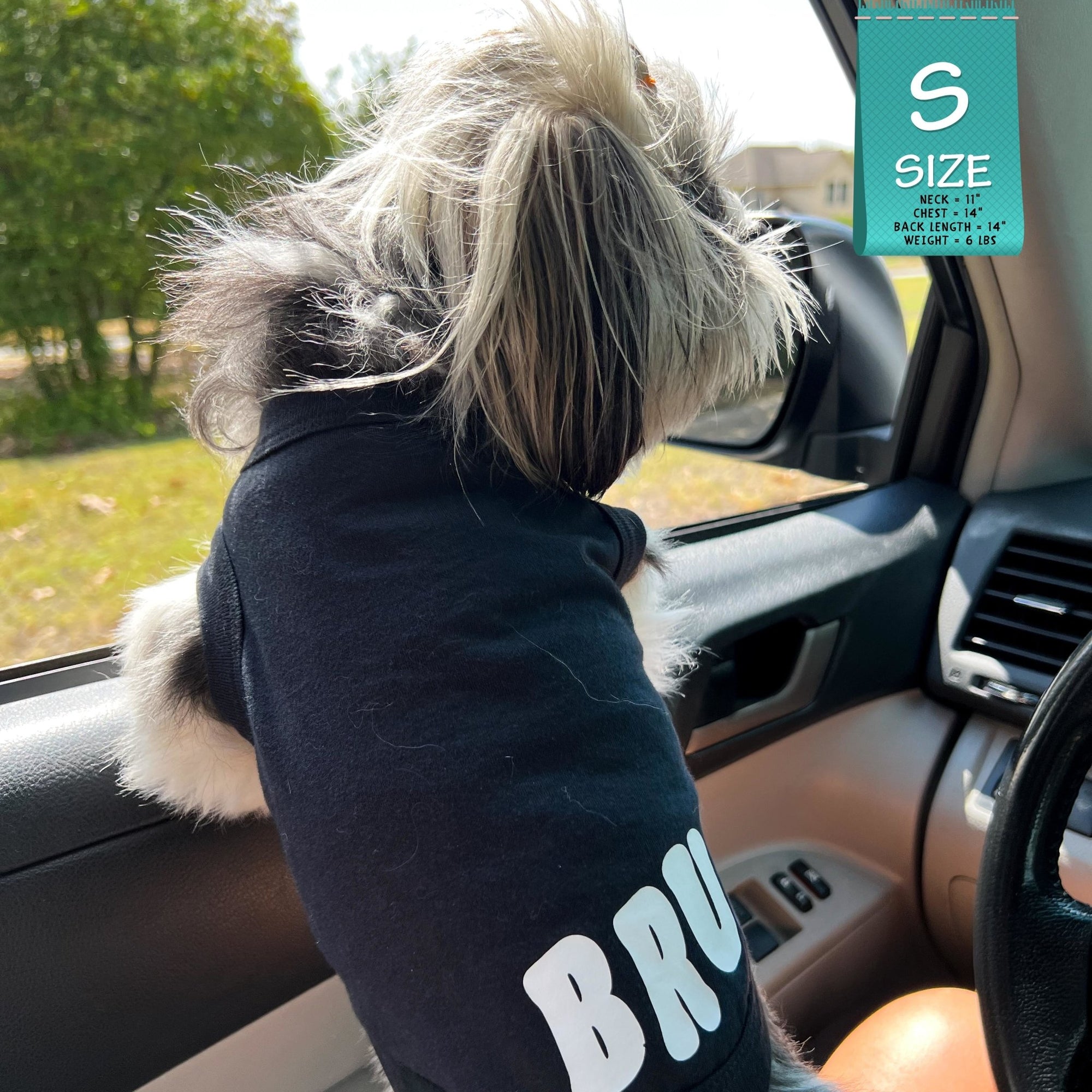 Dog T-Shirt - Shih Tzu mix wearing &quot;Bruh&quot; dog t-shirt in Black - back view with BRUH spelled in white on black t-shirt - hanging head out car window - Wag Trendz