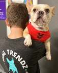 Dog T-Shirt - French Bulldog wearing "Bruh" dog t-shirt in Red - with a smirk faced French Bulldog emoji on chest - sitting over a human's shoulder - Wag Trendz