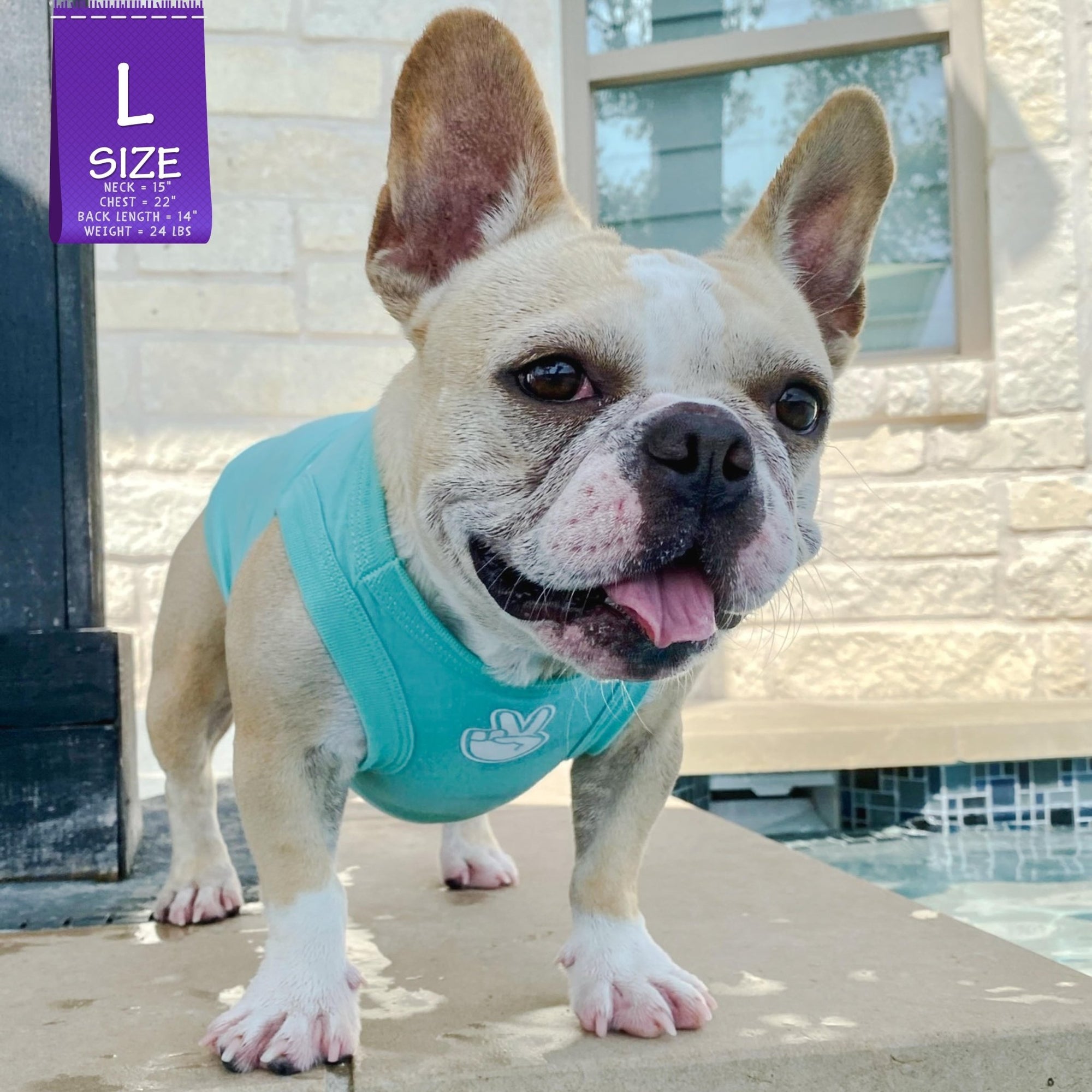 Dog T-Shirt - Frenchie Bulldog wearing &quot;Good Life&quot; dog t-shirt in teal - with white finger peace sign emoji on chest - standing outdoors by a pool - Wag Trendz