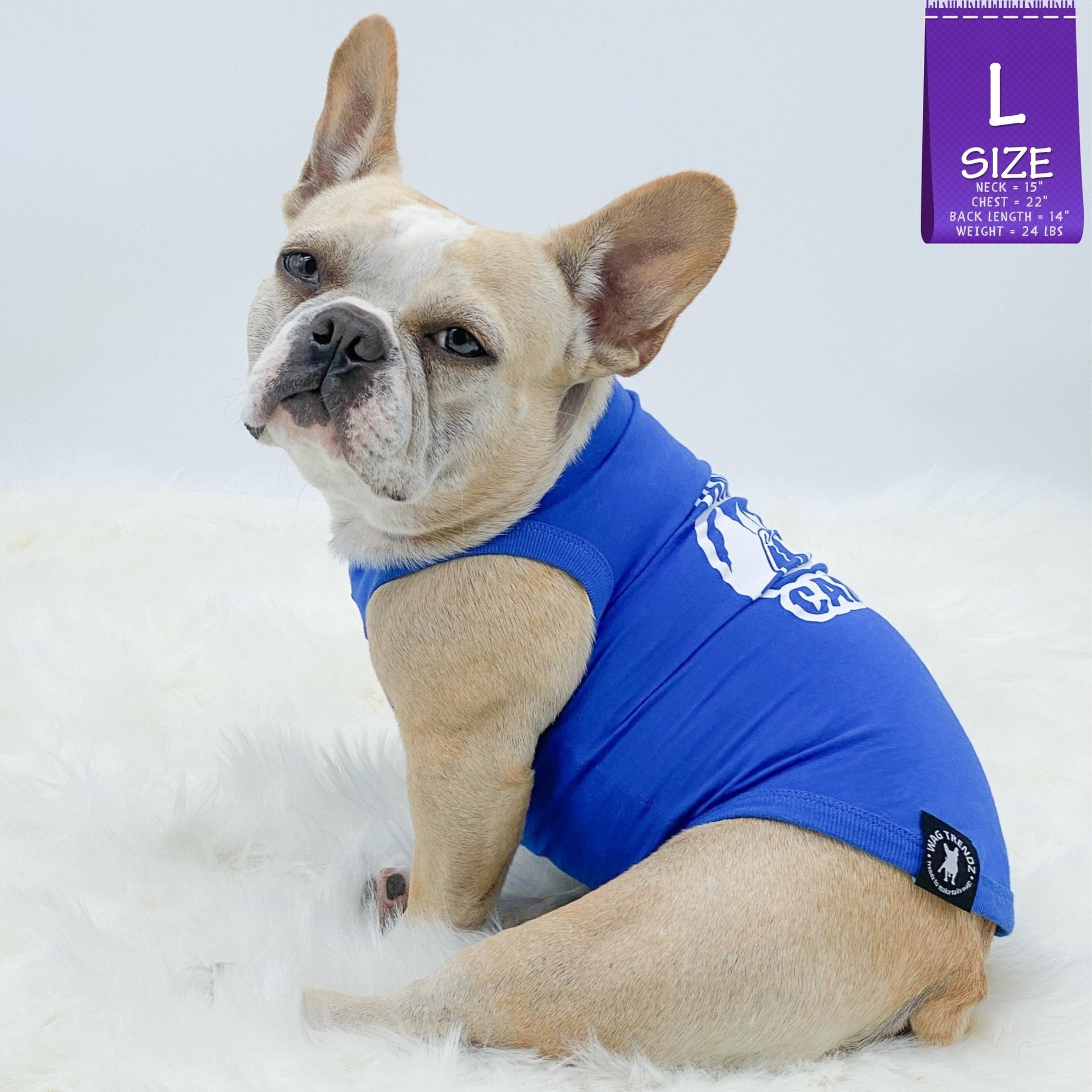Dog T-Shirt - French Bulldog wearing a blue &quot;Happy Camper&quot; dog t-shirt - with camping scene in white on back - against solid white background - Wag Trendz