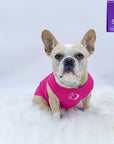 Dog T-Shirt - French Bulldog wearing "Lizard Hunter" dog t-shirt in hot pink - chest view with two Lizards making a circle emoji in white - against solid white background - Wag Trendz