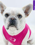 Dog T-Shirt - French Bulldog wearing "Lizard Hunter" dog t-shirt in hot pink - chest view with two Lizards making a circle emoji in white - against solid white background - Wag Trendz