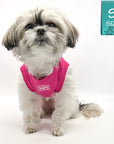 Dog T-Shirt - Shih Tzu Mix wearing Road Trip T-Shirt in Hot Pink VW bus emoji on chest - against solid white background - Wag Trendz