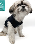 Dog T-Shirt - Shih Tzu Mix wearing Road Trip T-Shirt in black VW bus emoji on chest - against solid white background - Wag Trendz